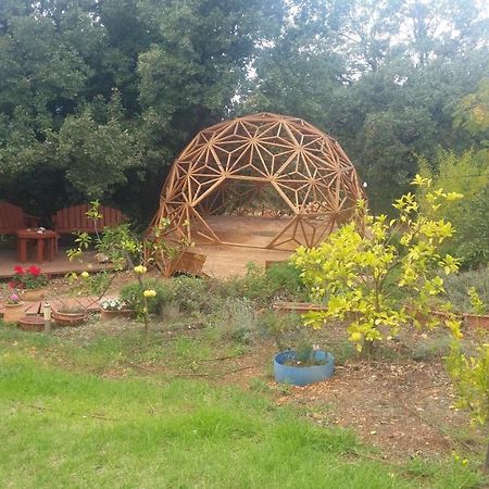 Spa In The Woods - B&B In Amirim Esterno foto