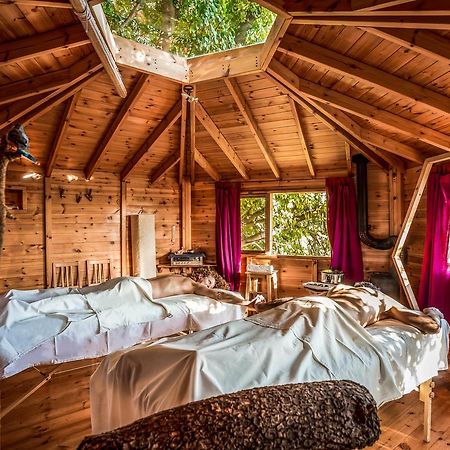 Spa In The Woods - B&B In Amirim Esterno foto