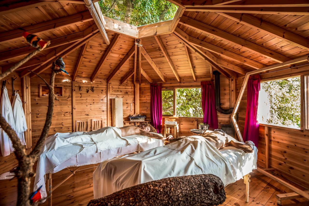 Spa In The Woods - B&B In Amirim Esterno foto